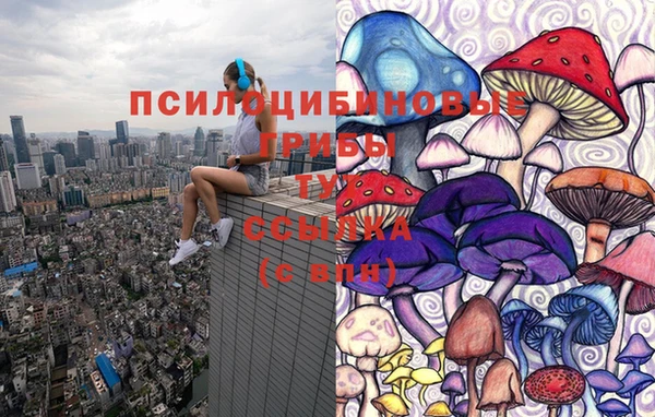 амфетамин Алексин