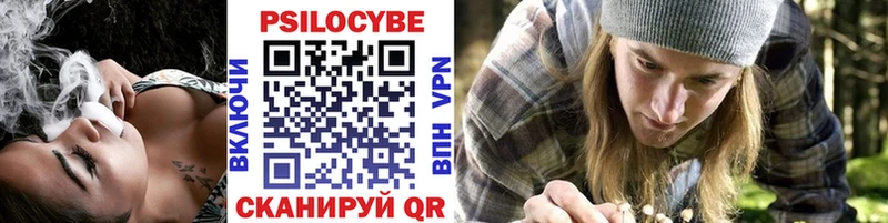 Галлюциногенные грибы Psilocybe продажа наркотиков маркетплейс телеграм Петропавловск-Камчатский KRAKEN сайт