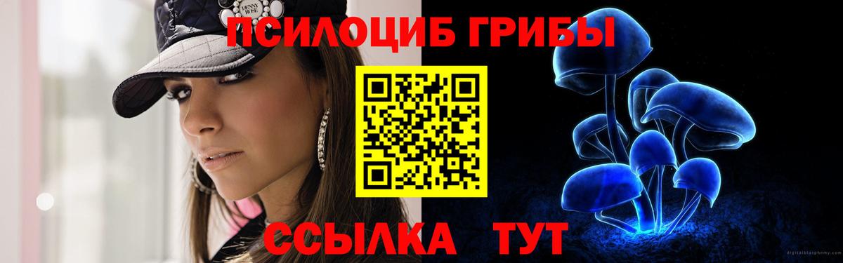 Псилоцибиновые грибы мицелий  Вход с VPN  Петропавловск-Камчатский 